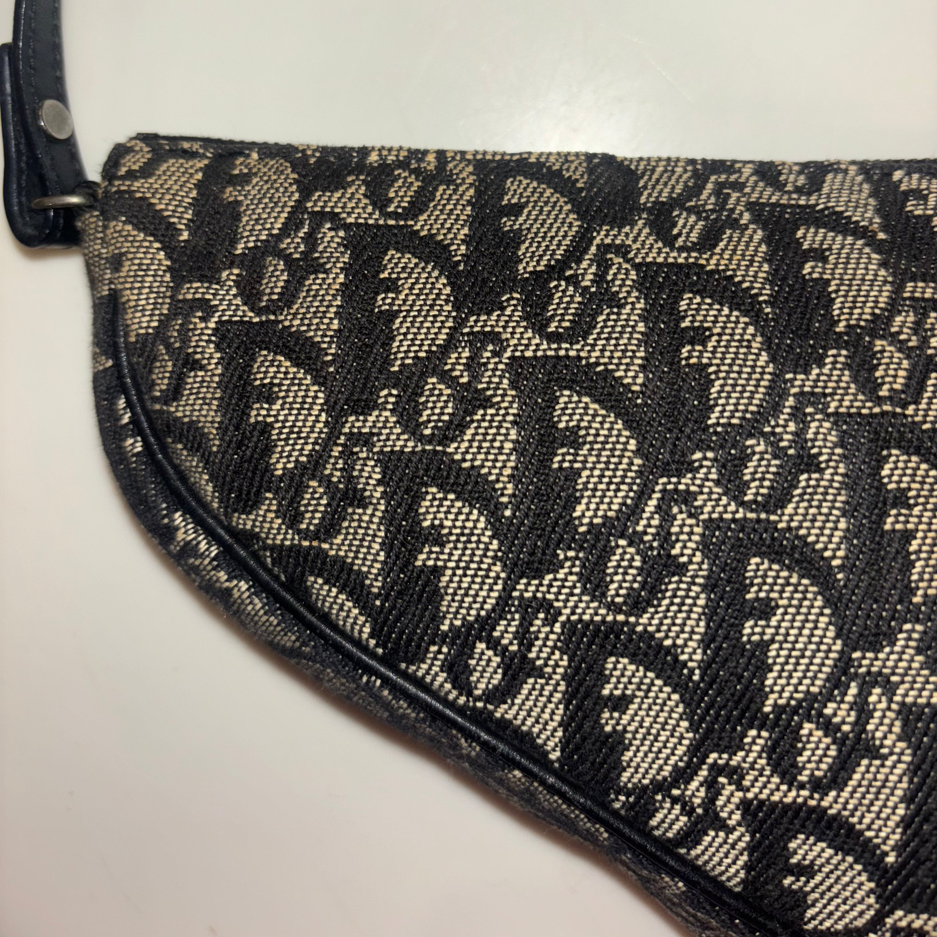 Saddle Bag Trotter Canvas