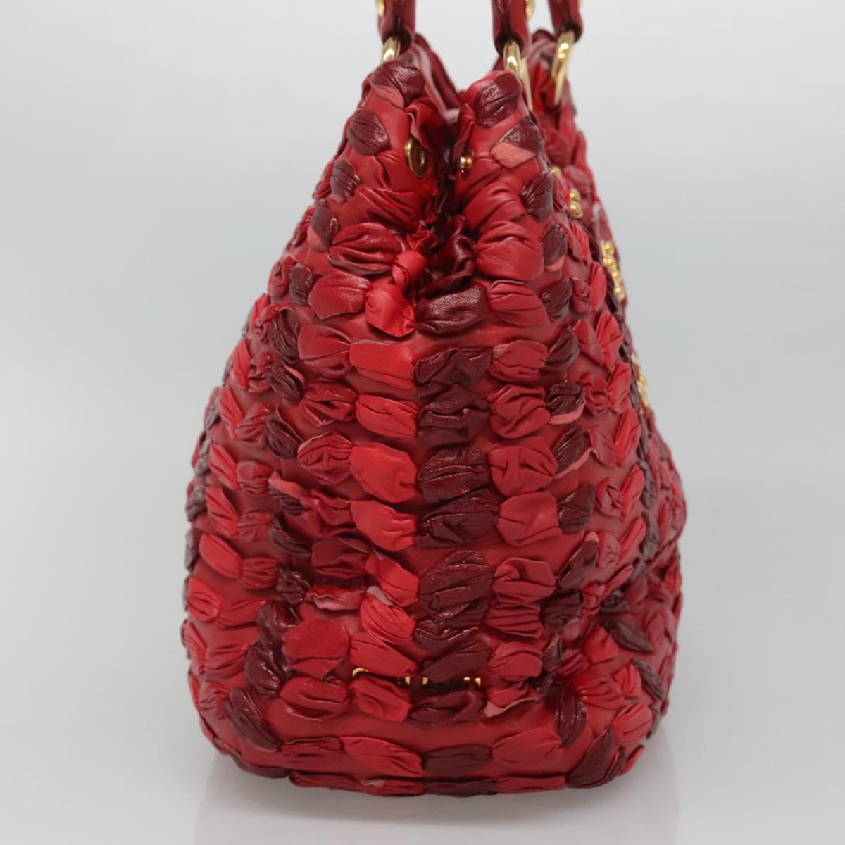 Red Hand Bag Leather 2way