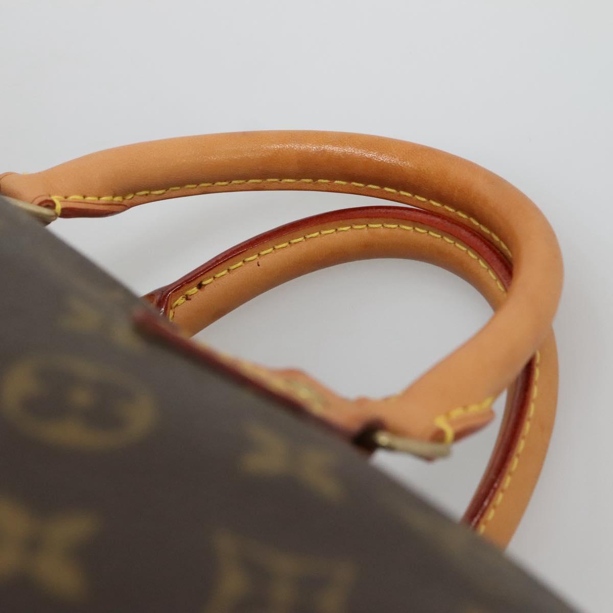 Monogram Speedy 30 Hand Bag